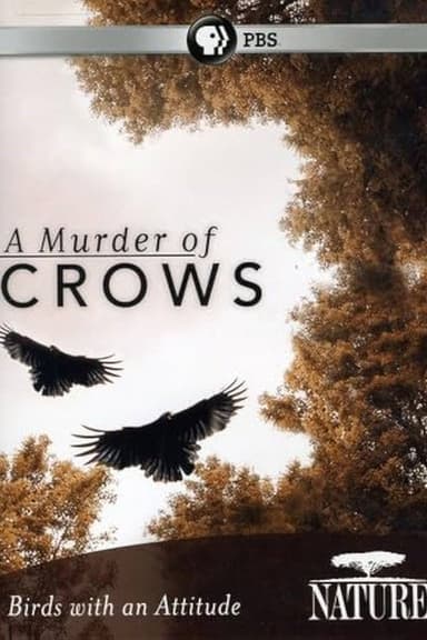 A Murder of Crows poster
