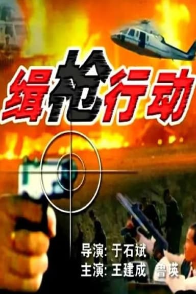 缉枪行动 poster