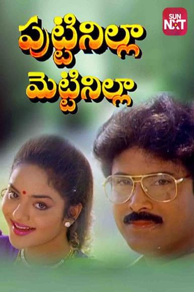 Puttinilla Mettinilla poster