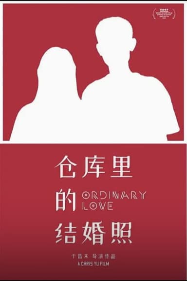 Ordinary Love poster