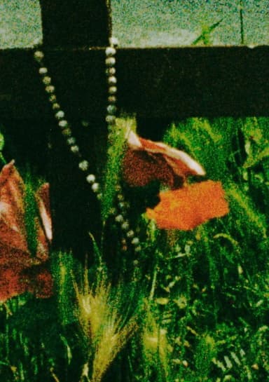 The Cradle poster