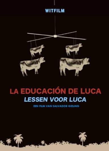 Lessons for Luca poster