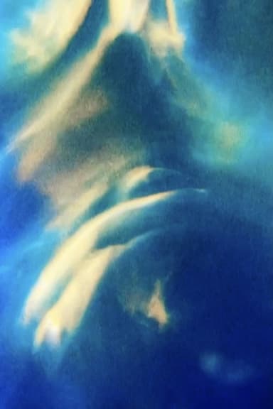 Opalescence poster