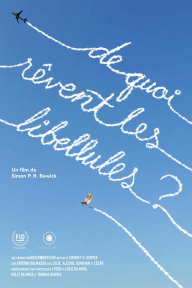 What Do Dragonflies Dream of? poster