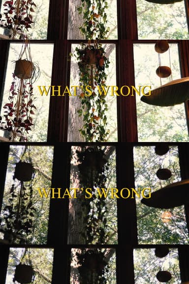What's Wrong poster