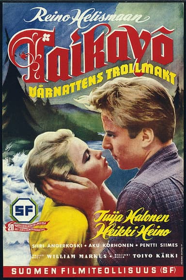 Taikayö poster