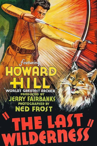 The Last Wilderness poster