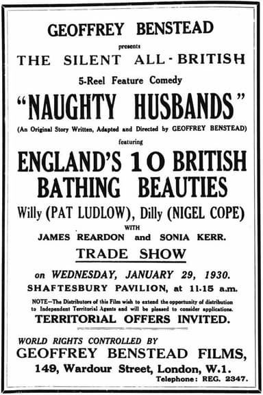 Naughty Husbands poster
