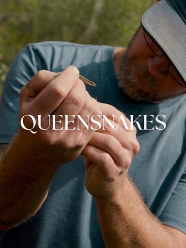 Queensnakes poster