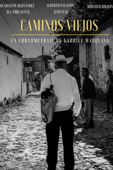 Caminos Viejos poster
