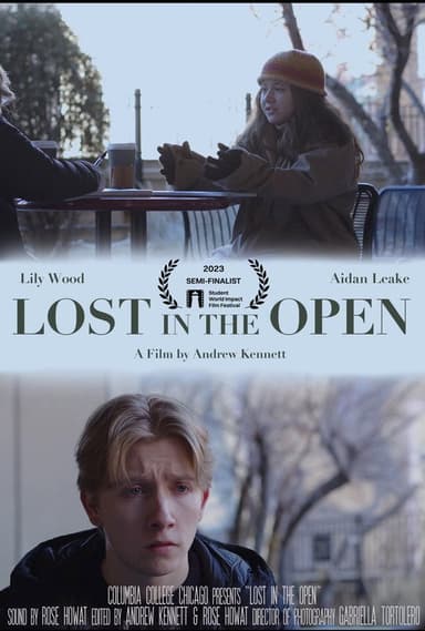 Lost in the Open poster