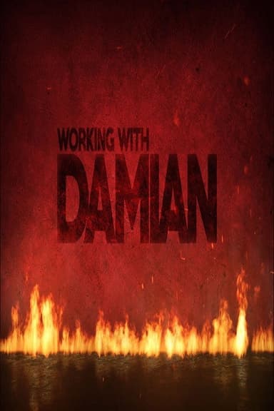 Working With Damian poster