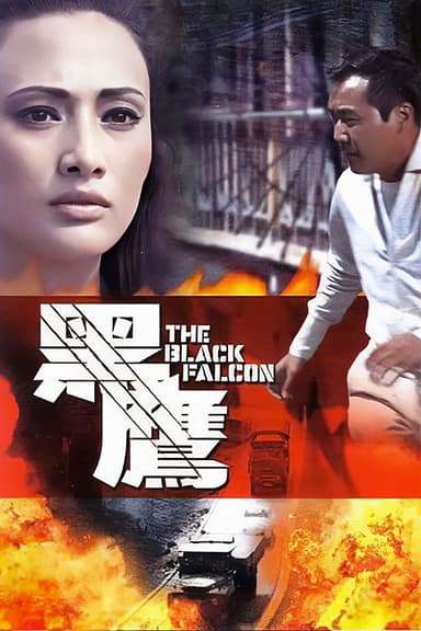 Black Falcon poster