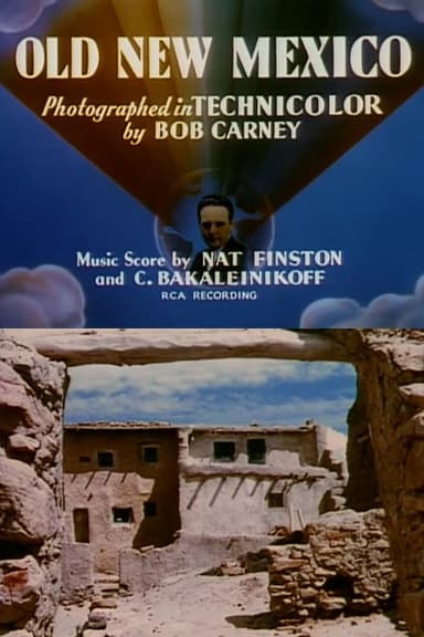 Old New Mexico poster