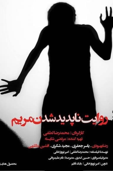 The Story of Mary's Disappearance poster