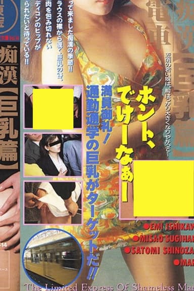Groper Train: Lots of Big Breasts poster