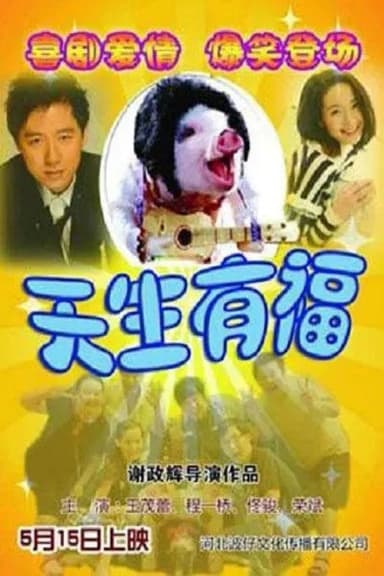 天生有福 poster