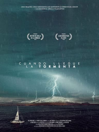 Cuando llegue la tormenta poster