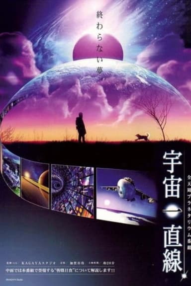 Straight into the Universe poster