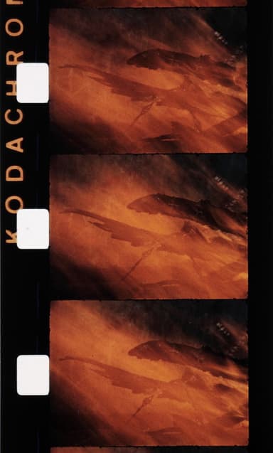 Le feu poster