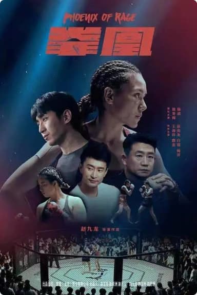 拳凰 poster