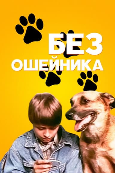 Without a Collar poster