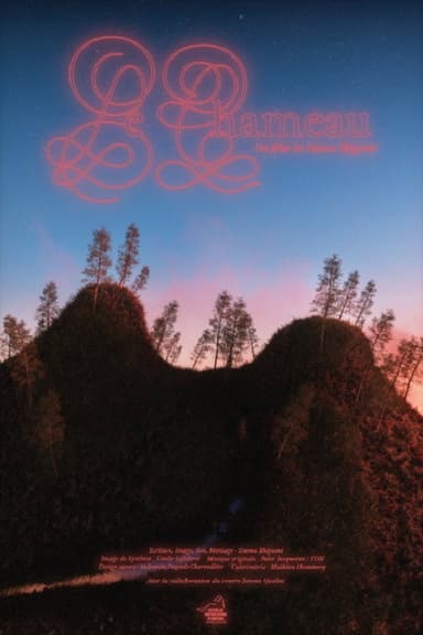 Le chameau poster