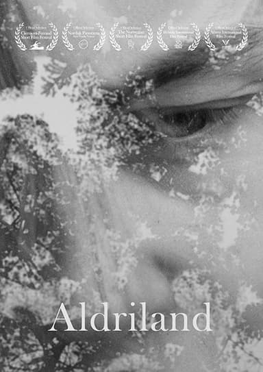 Neverland poster