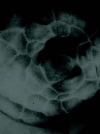 occhiolino poster
