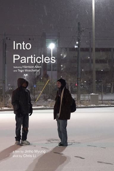 Into Particles poster