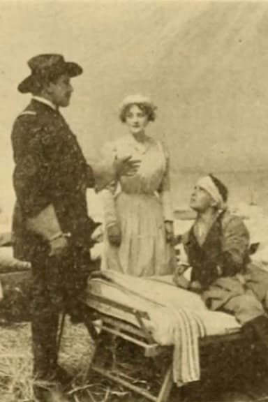 A Dixie Mother poster