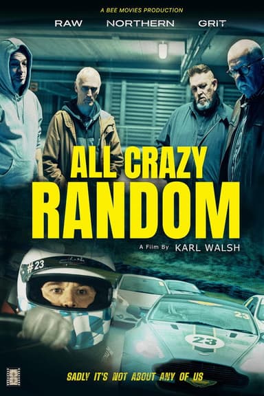 All Crazy Random poster