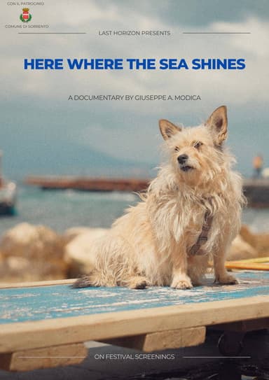 Here where the sea shines poster