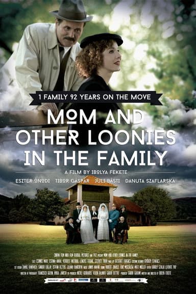 Mom and Other Loonies in the Family poster