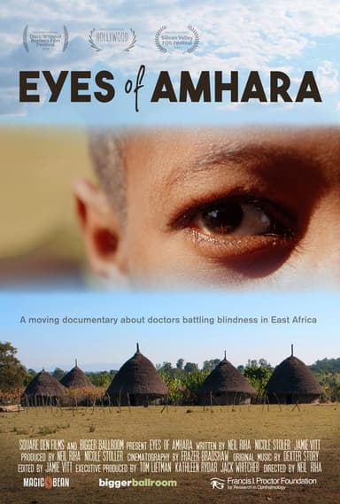 Eyes of Amhara poster