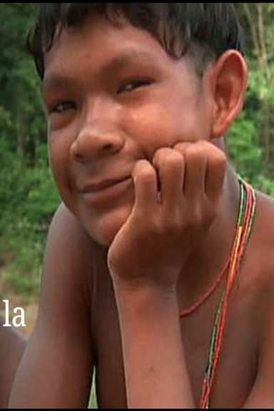 El código de la Amazonia poster