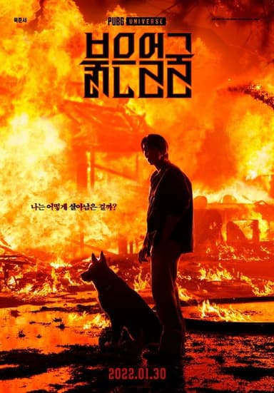 Red Face poster