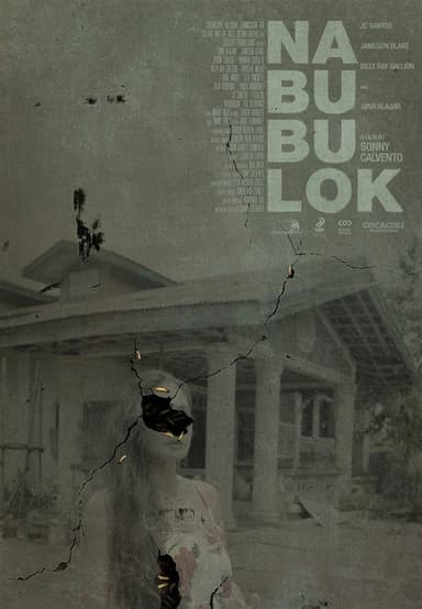 The Decaying poster