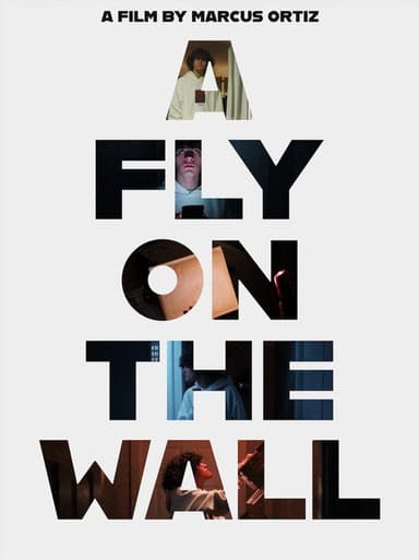 A Fly On The Wall poster