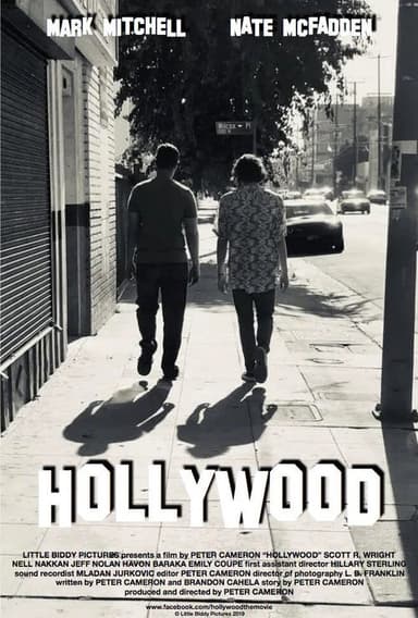Hollywood poster