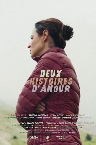Two Love Stories poster