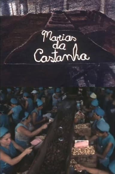Marias da Castanha poster