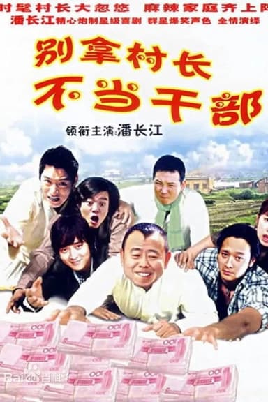 别拿村长不当干部 poster