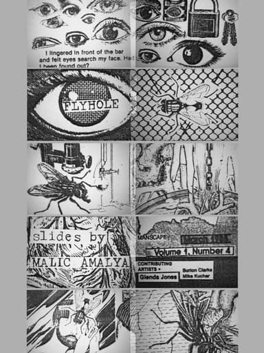 Flyhole poster