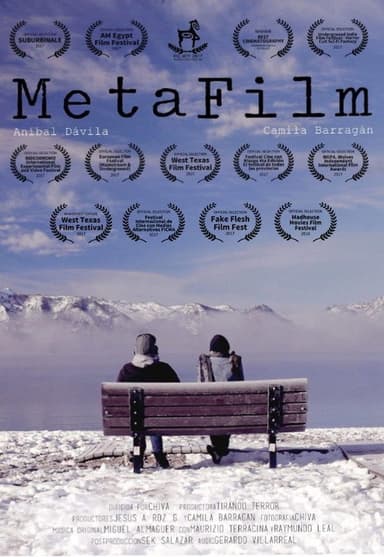 MetaFilm poster