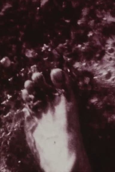 Footprints poster