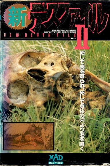 New Death File II poster
