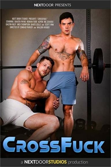CrossFuck poster