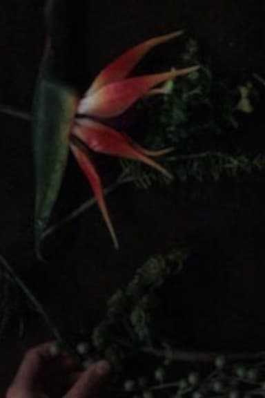 still life composition 'an accompaniment for life' poster