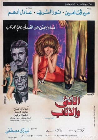 The Lady and the Wolves poster
